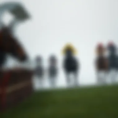 Illustration of regulations regarding online horse racing streaming