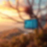 California landscape with a digital betting interface