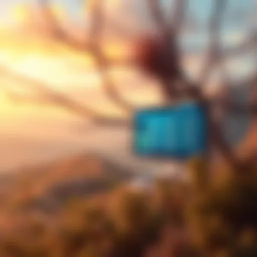 California landscape with a digital betting interface