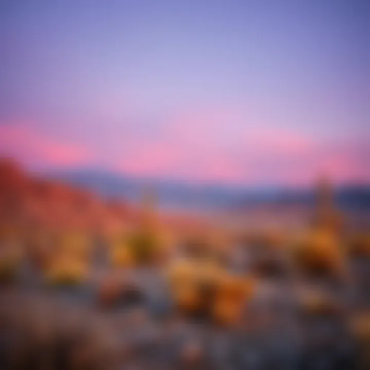 A serene landscape of the Nevada desert, symbolizing the contrast between nature and urban gambling hubs.