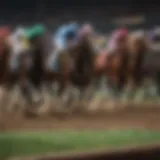 A detailed infographic on various horse racing bet types